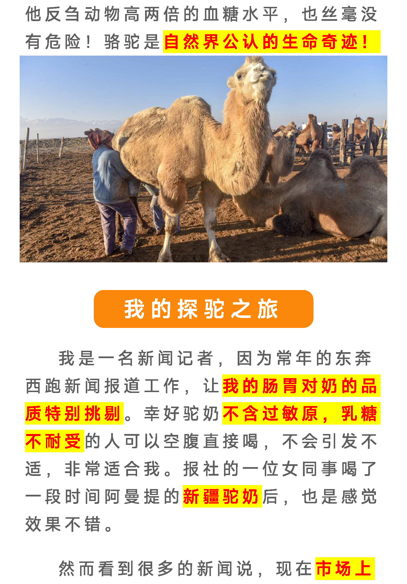 驼奶落地页图片 3