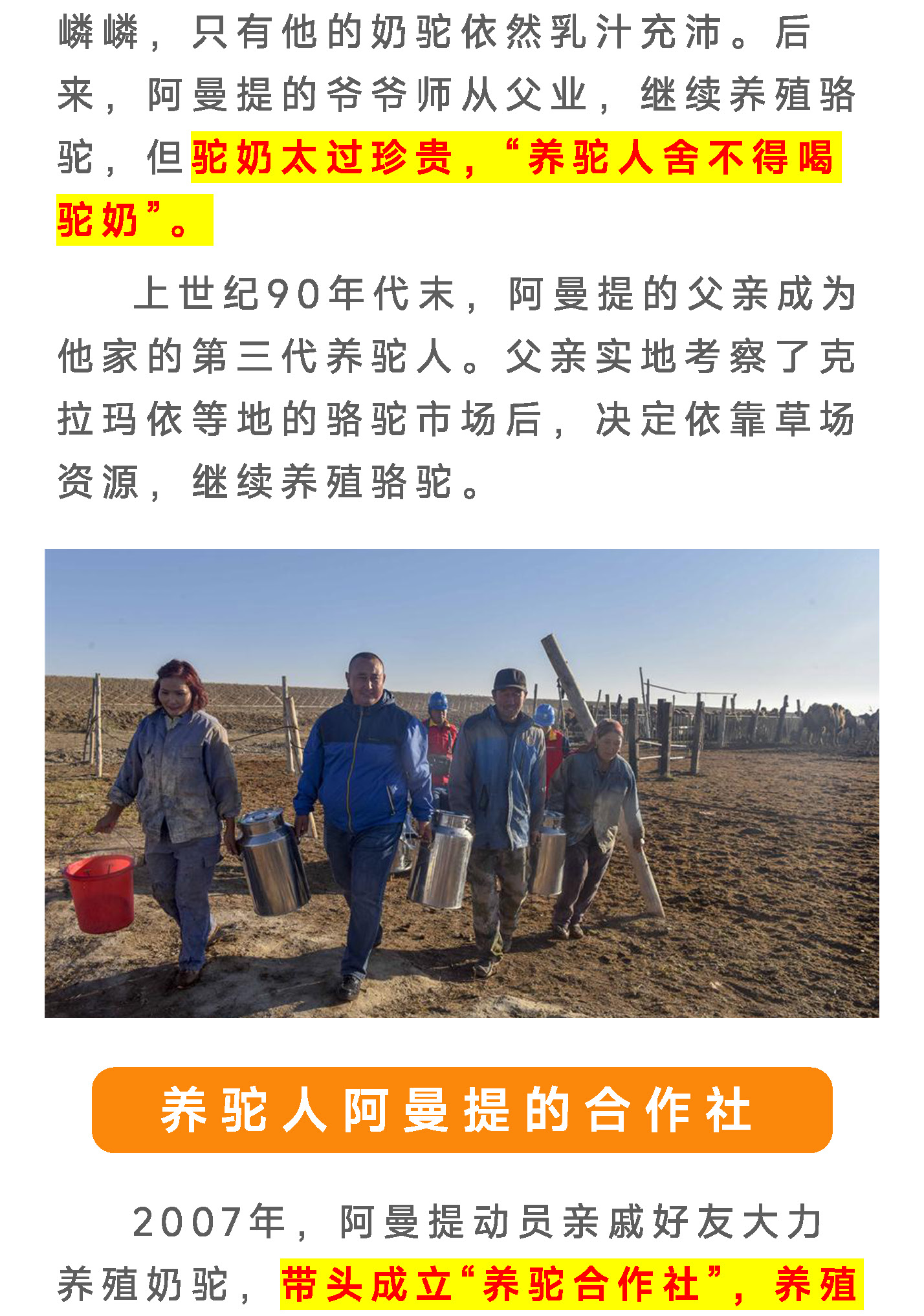 驼奶落地页图片 6