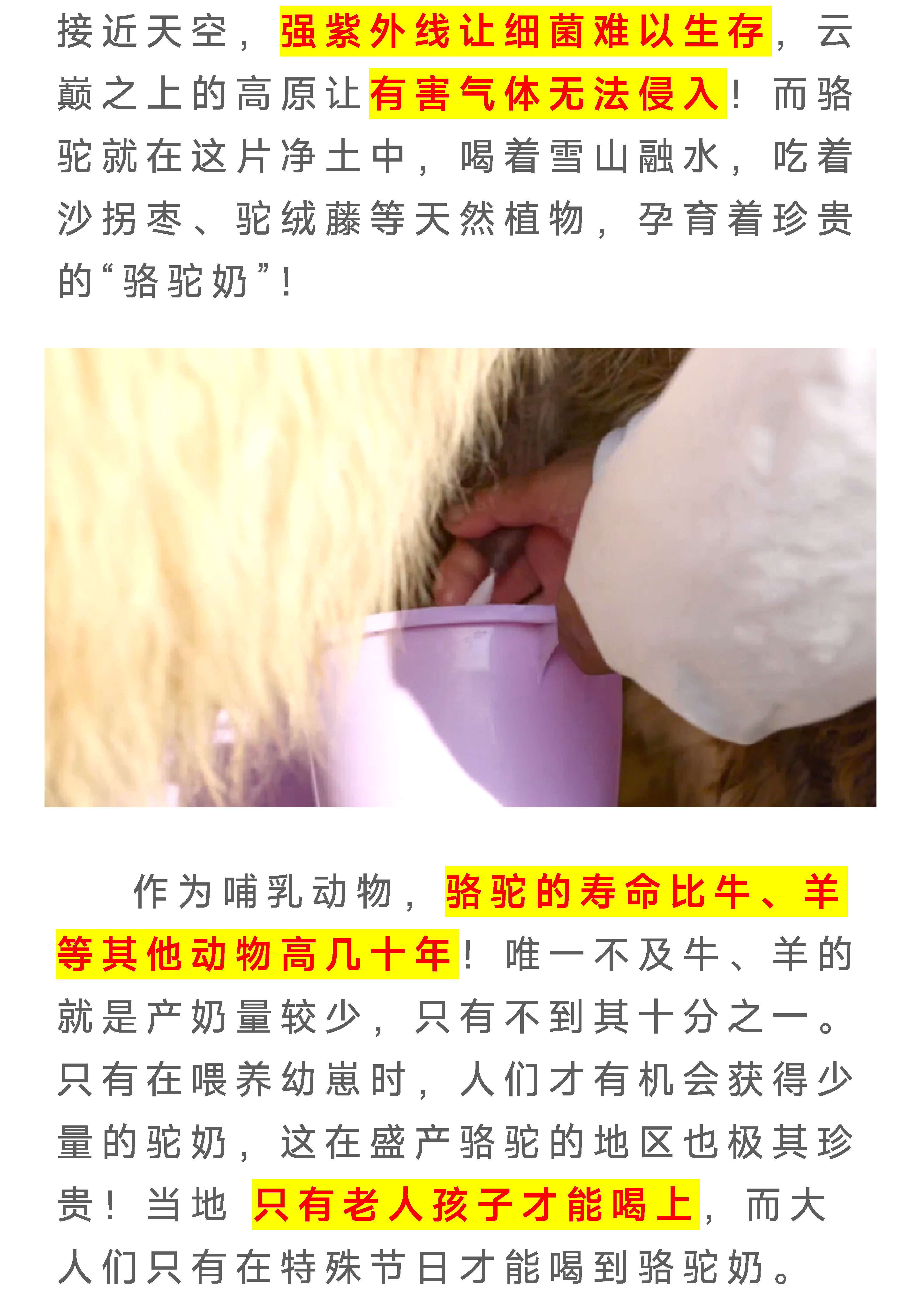 驼奶落地页图片 9